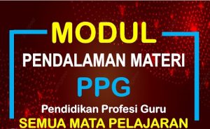modul ppg 2022